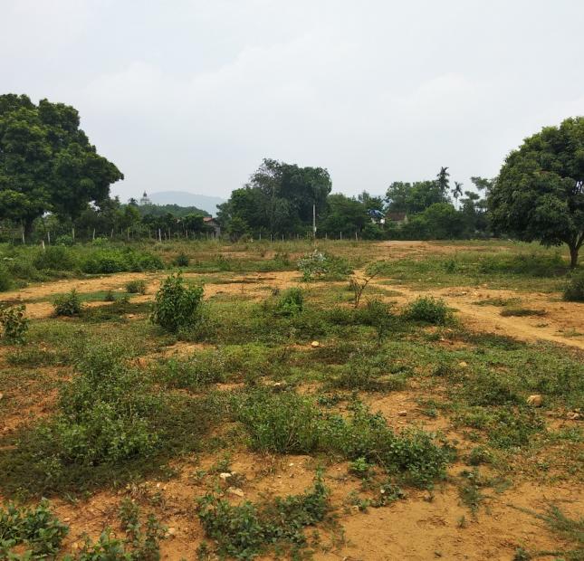 Cần tiền bán gấp mảnh đất 8570m2 xã Hòa Sơn, huyện Lương Sơn, HB.