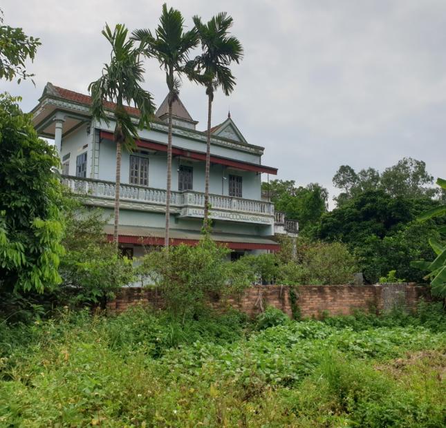Chính chủ bán đất thôn Thái Lai Minh Trí SS diện tích 800m2 có sẵn nhà đất trên trục chính của làng