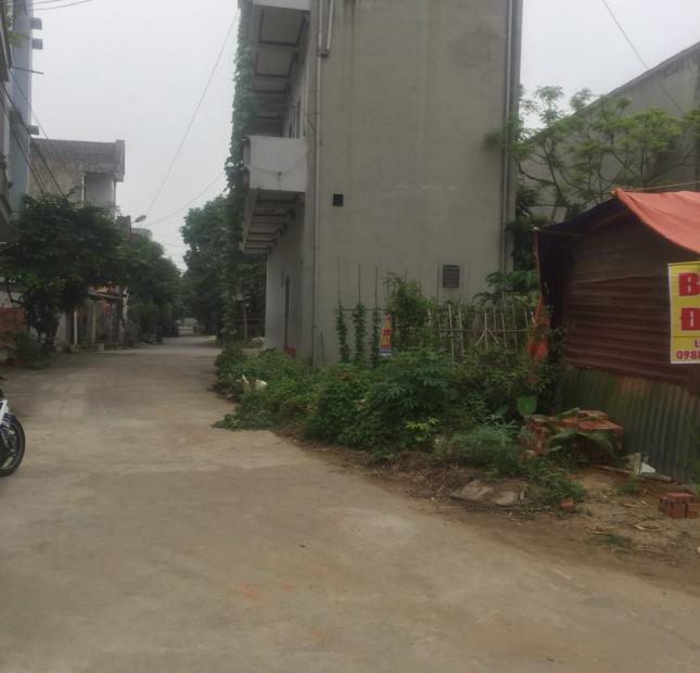 Chính chủ cần bán 2 lô đất liền kề vị trí đẹp giá tốt ở P. Nông Trang, TP Việt Trì, Phú Thọ