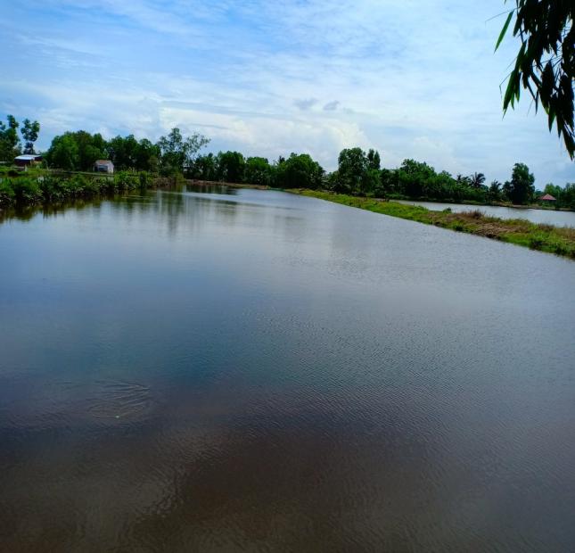 Bán đất Nông nghiệp và Rừng, đất Vuông tôm, đất nền tại huyện U Minh, Cà Mau.
