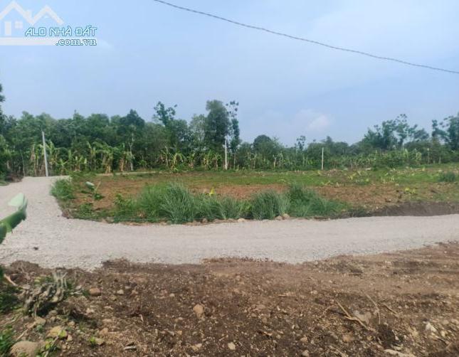 Đất Thống Nhất, Đồng Nai gần UBND xã Hưng Lộc cần bán.