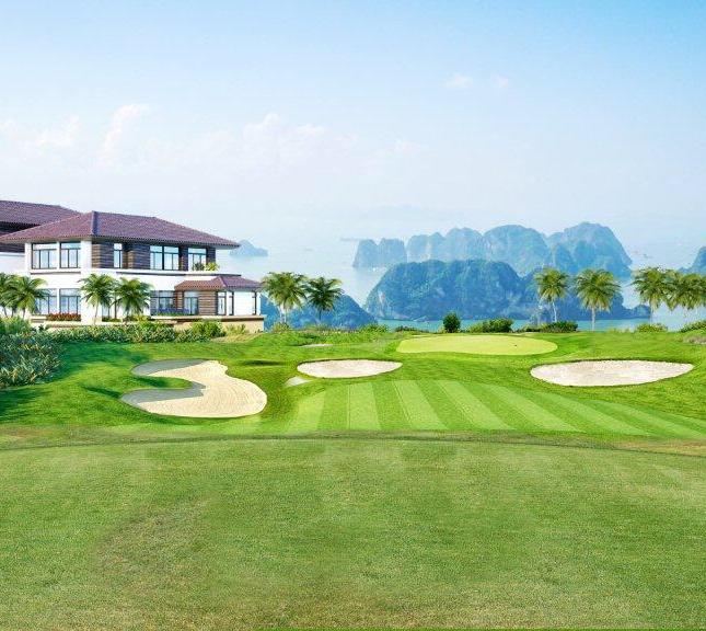 Đến với dự án FLC Quảng Ngãi  Beach & Golf Resort sỡ hữu được kho báu lâu dài