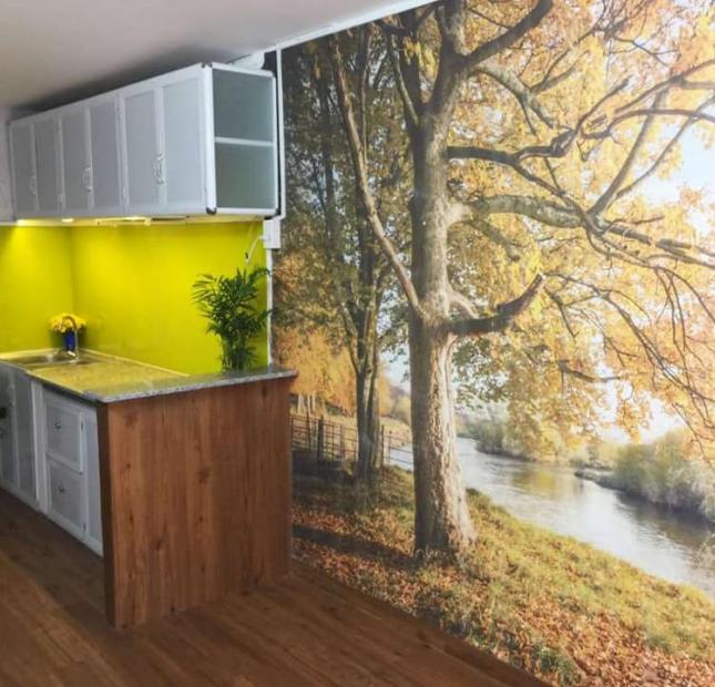 Cần tiền trả nợ Ngân Hàng  bán gấp nhà hxh 6m đường Nguyễn Trãi Q5