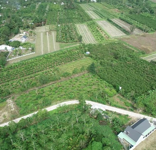 Bán 5000m2 Đất mặt tiền Đường vào Khu Di Tích Giàn Gừa- Phong Điền Cần Thơ Giá 1tr4/m2.