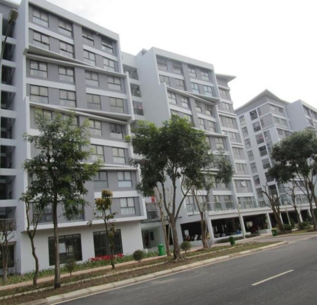 Bán gấp căn hộ chung cư Đặng Xá khu CT8, 2PN chỉ 850 triệu