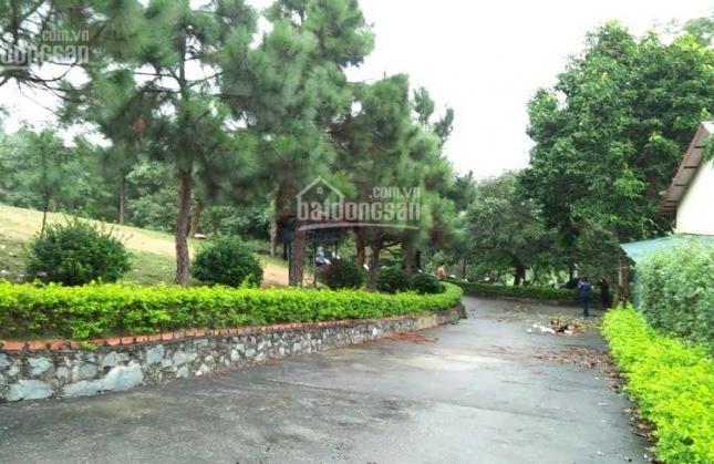 Bán đất biệt thự nghỉ dưỡng Lucky Hill, khu công nghệ cao Hòa Lạc, giá chỉ 8 triệu/m2