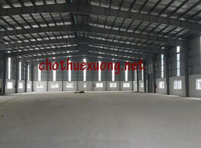 Cho thuê kho xưởng mới xây tại huyện Hải Hậu, Nam Định DT 2500m2, 3000m2, 5000m2 giá rẻ 