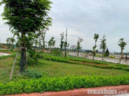 Bán đất nền dự án tại Dự án Khu đô thị Đại Cương, Kim Bảng,  Hà Nam diện tích 100m2