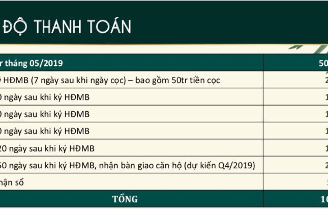 Với 2,2 tỷ nên đầu tư căn hộ du lịch lợi nhuận cam kết 40%/ 5 năm hay mua căn hộ và cho thuê  giá 9 triệu/ tháng ?