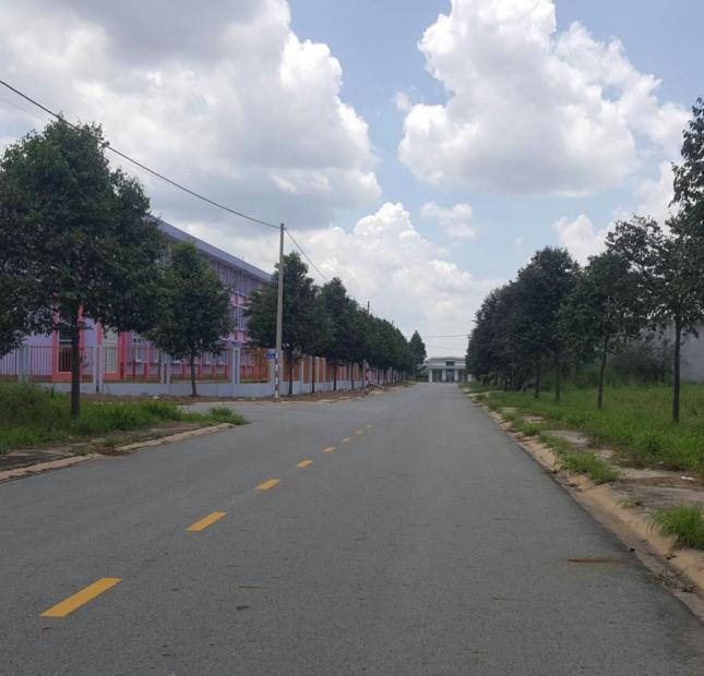 Bán đất sổ đỏ gần trung tâm hành chính Bàu Bàng, 100m2 giá 600 triệu 