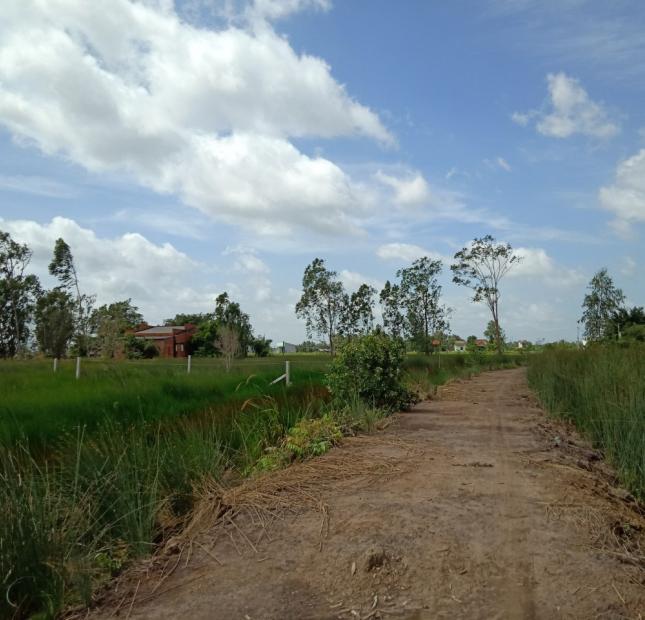 Cần bán lô đất vườn chính chủ tại ấp Tràm Lạc, huyện Đức Hòa, Long An, giá đầu tư