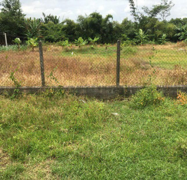Gia đình cần bán mảnh đất 10x30m tại xã Tiên Thuận, huyện Bến Cầu