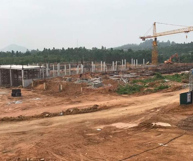 Bán nhà mặt phố tại Dự án Park Hill Thành Công, Vĩnh Yên,  Vĩnh Phúc diện tích 100m2