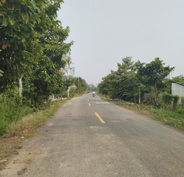 Bán Nền Lộ Mới - Cầu Dừa cách QL1A 600m 