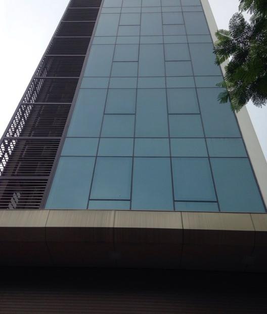 Cho thuê nhà phố Quan Hoa, Cầu Giấy, 150m2 x 7 tầng, thông sàn, thang máy