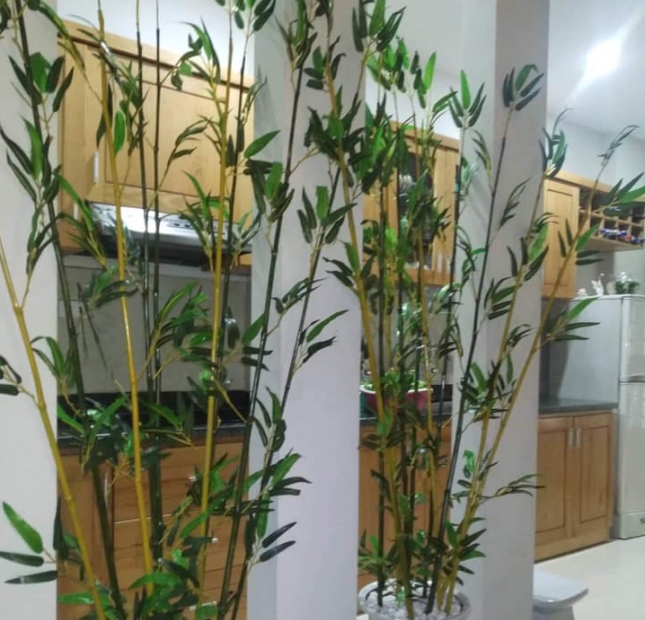 Bán gấp nhà Bằng Liệt, Hoàng Liệt, 38m2, 4 tầng, giá 2.3 tỷ. LH 0984094326