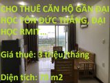 Cho thuê căn hộ gần đại học Tôn Đức Thắng, đại học RMIT...