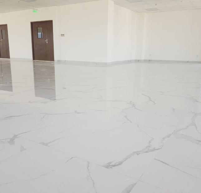 Nguyên sàn cho thuê làm văn phòng với diện tích 264m2