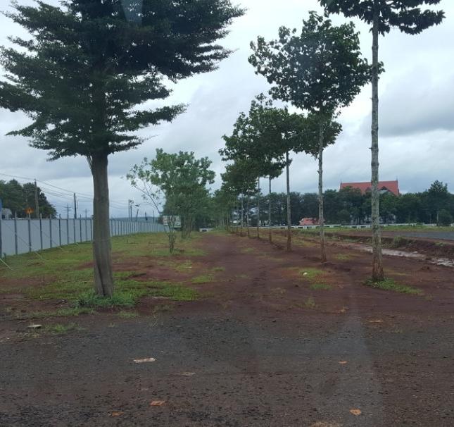 Tiến độ thi công thần tốc dự án mỹ lệ capital – mở bán đất nền dự án chỉ 285 triệu 1 nền 100m2