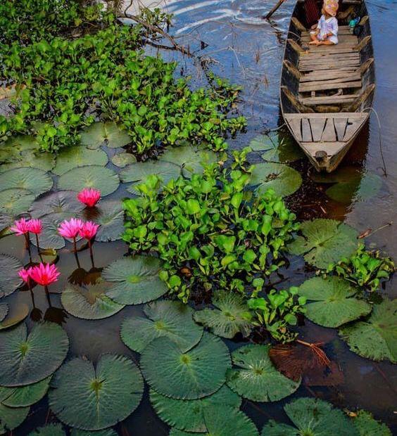 MỞ BÁN RESORT HOA LAN RIVERSIDE HOMESTAY & SPA