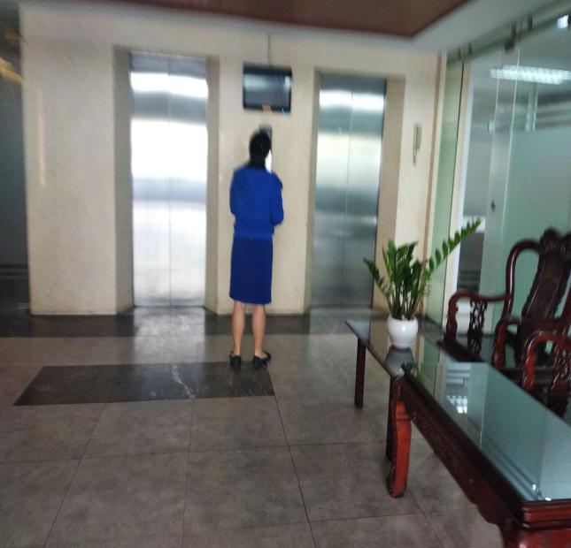 Cho thuê tòa nhà văn phòng gần sân bay đường Trường Sơn, Quận Tân Bình