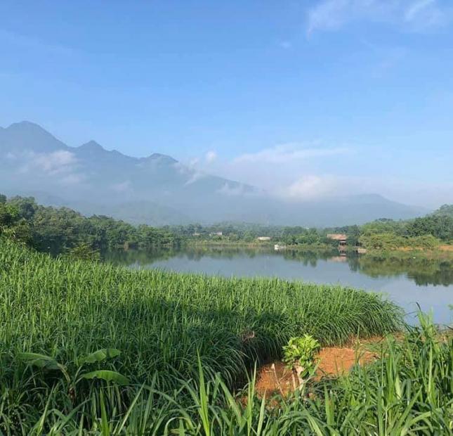 chính chủ bán lô đất 5000m mặt hồ nghỉ dưỡng tuyệt đẹp vân hòa -ba vì giá rẻ