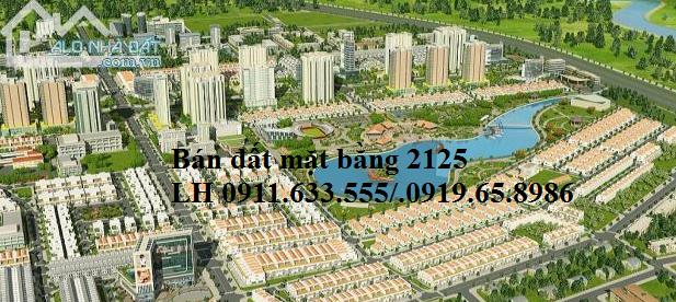 Bán  đất mặt bằng 2125 - Nơ 11 Phường Đông vệ - Thành phố Thanh Hóa 