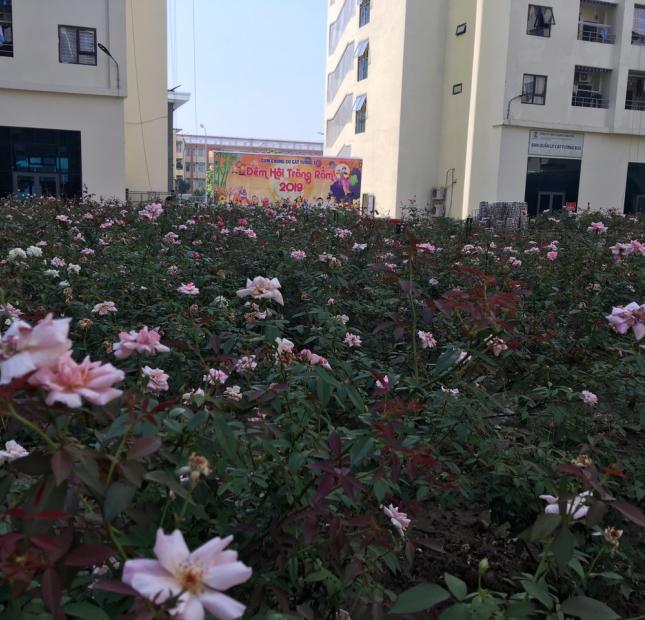 Chỉ hơn 500tr sở hữu căn chung cư 3PN 75m2 trung tâm TP Bắc Ninh