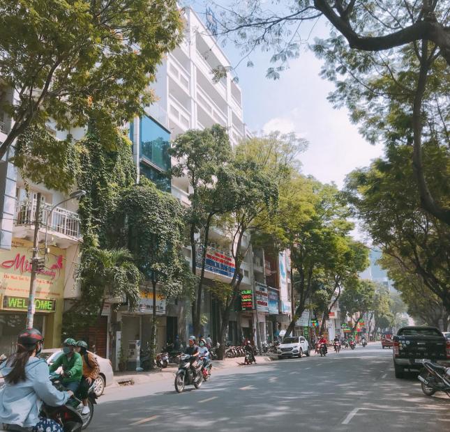 Nhà bán chính chủ chưa qua đầu tư, HXH Cách Mạng Tháng 8, DT: 7.2x20m, DTCN: 145m2