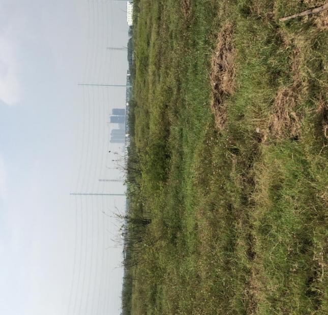 CHUYÊN GIỚI THIỆU ĐẤT ĐẠI HỌC QUỐC GIA 245 QUẬN 9