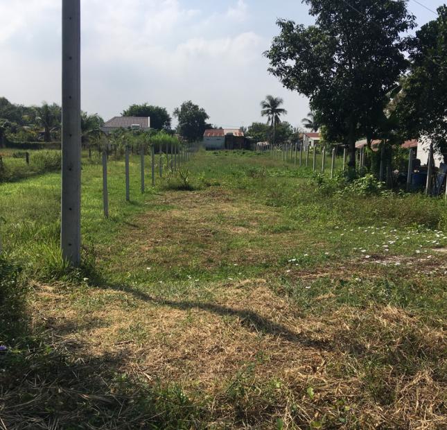 Bán thửa đất gần 1 công, gần Nhà Thờ - Chùa ở xã Thái Mỹ Củ Chi