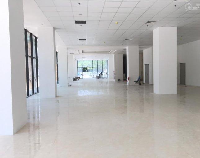 Cho thuê văn phòng 50m2 - 200m2 khu vực Nguyễn Khang, Cầu Giấy, Trần Thái Tông. Lh: 0971 724 268.