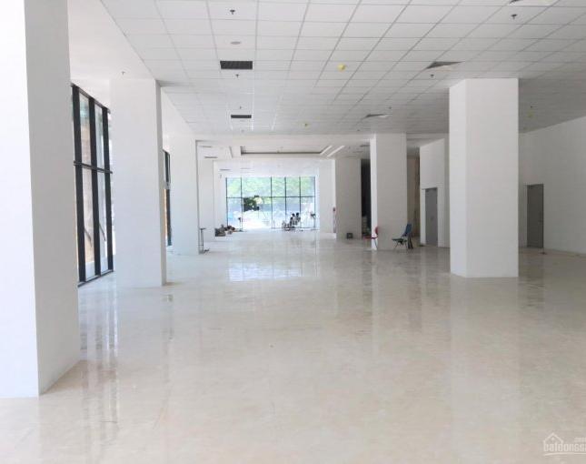 Văn phòng chuyên nghiệp cực đẹp: Trần Đăng Ninh, Hoàng Quốc Việt, 150m2, thiết kế đẹp