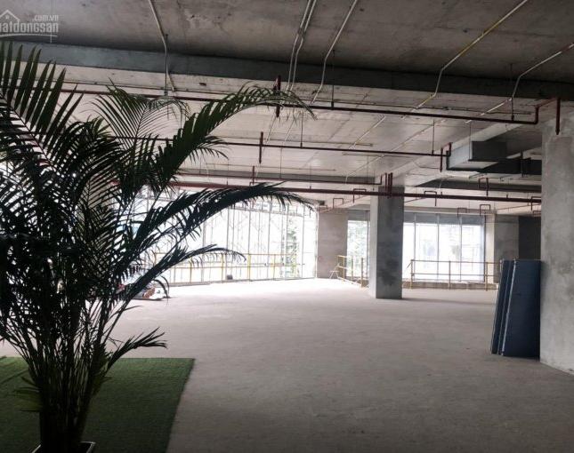 Cho thuê sàn TTTM DT linh hoạt từ 800m2 - 2650m2 tòa nhà Stellar Garden, số 35 Lê Văn Thiêm. Lh: 0971 724 268