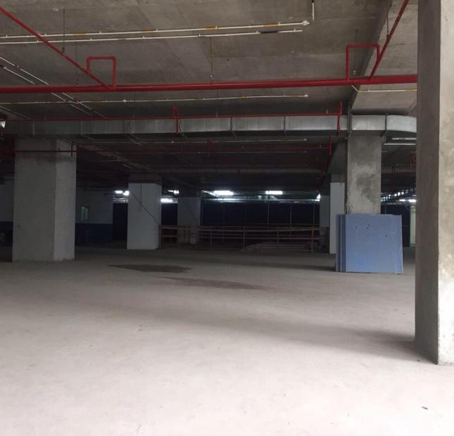 Cho thuê sàn thương mại 800m2-3000m2 mp Lê Văn Thiêm quận Thanh Xuân