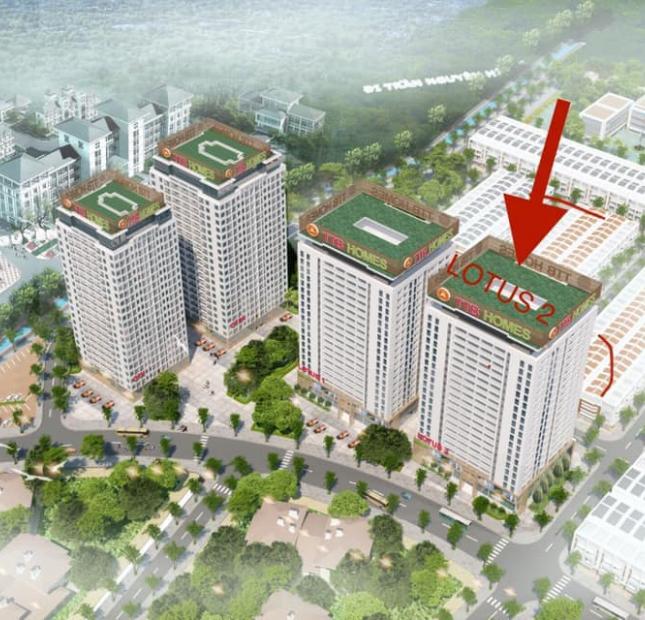 Phân phối chung cư Green City Bắc Giang.