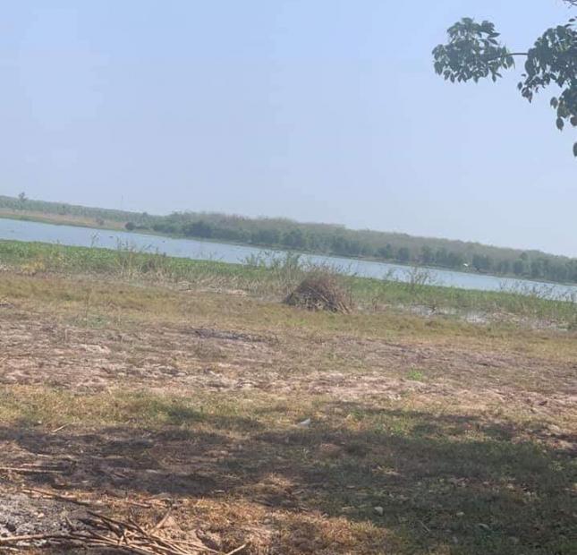Đất mặt tiền View hồ Dầu Tiếng sổ hồng riêng chính chủ tại Minh Hòa