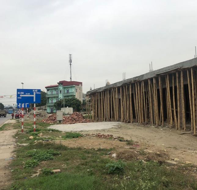 Bán đất nền dự án tại Bỉm Sơn,  Thanh Hóa