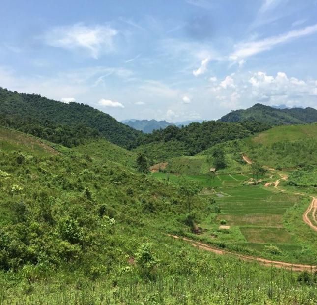 chuyển nhượng 285 ha đất rừng sản xuát tại huyện mai châu tỉnh hòa bình