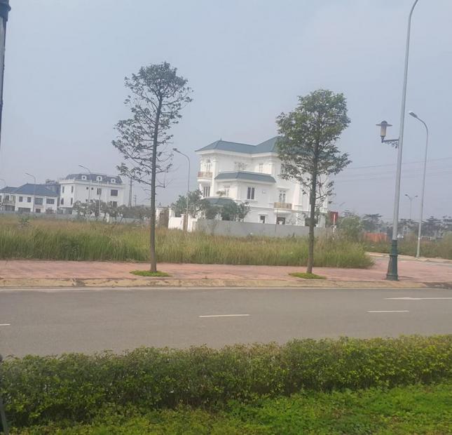 Cần bán gấp lô đất tại khu đô thị mới Nam Vĩnh Yên 