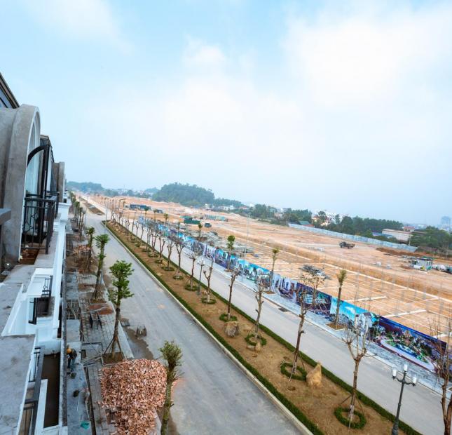233m2  giá 17 Triệu/m² Bán nhà biệt thự, liền kề xây sẵn tại Dự án Khu đô thị Crown Villas, Thái Nguyên,  Thái Nguyên diện tích 