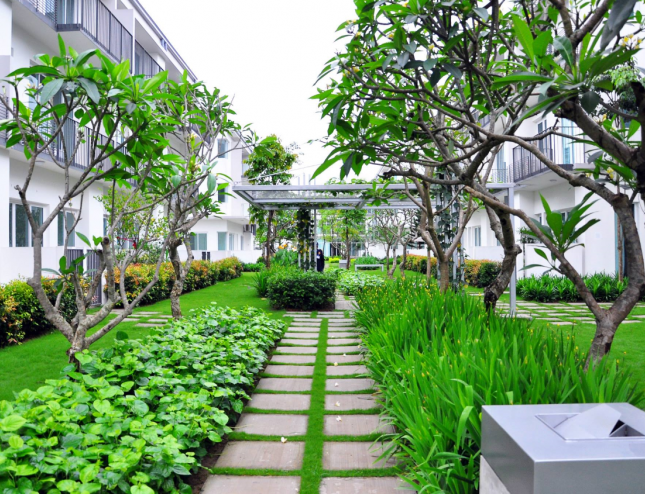 Cho thuê biệt thự liền kề tại ParkCity Hanoi. Biệt thự chuẩn thiết kế 5 sao đẳng cấp quốc tế