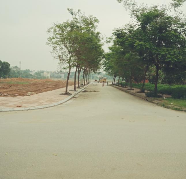 Bán đất khu đô thị Tân Dân Phường Tân Dân - thành phố Việt Trì- Phú Thọ