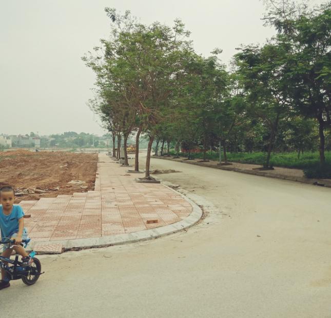 Bán đất khu đô thị Tân Dân Phường Tân Dân - thành phố Việt Trì- Phú Thọ