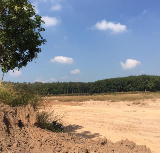 Bán 10 ha( 100.000m2) đất xây xưởng tại xã Thanh Tuyền, Dầu Tiếng, Bình Dương.