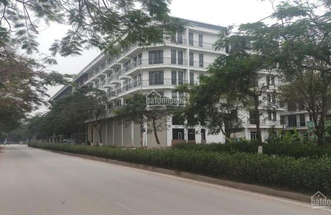  HOT : LK Shophouse THANH LIỆT CẠNH THE MANOR CENTRAL PARK, DT: 46 -80m2, giá: 7 tỷ