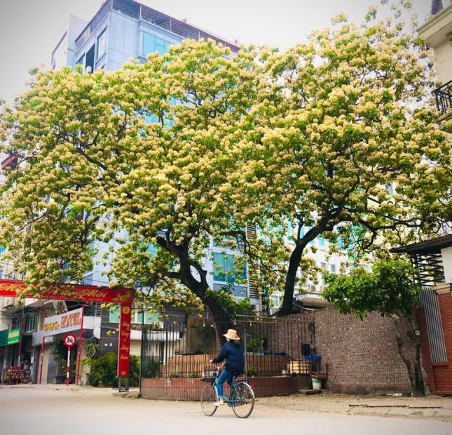 BÁN ĐẤT: Mặt phố Đình Thôn, Mỹ Đình DT 63M. Ô tô Kinh doanh.