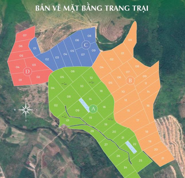 Trang trại sinh thái sầu riêng Tân Lâm Nguyên- Lâm Đồng