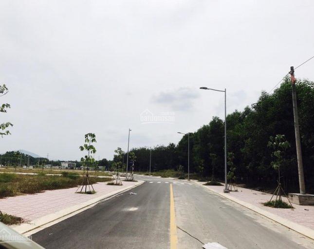 Siêu Phẩm đất tái định cư Phước Bình Long Thành,Sổ Hồng, 300m2 thổ cư, hạ tầng hoàn thiện!