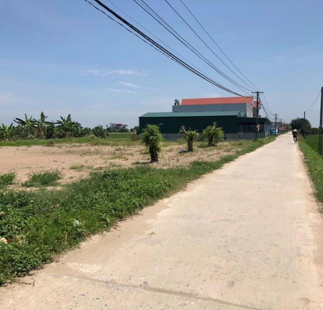 Bán mảnh đất tại Hồng Quang,Thanh Miện giá cực tốt
